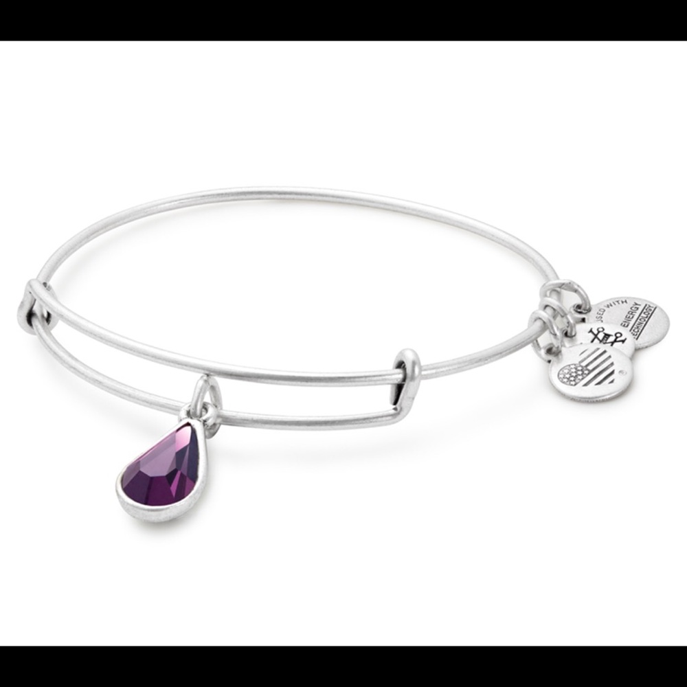 Alex & Ani purple gemstone bracelet